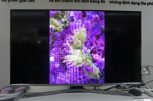 Hướng  dẫn chia sẻ hình ảnh từ điện thoại lên tivi Samsung qua Screen Mirroring hinh 5