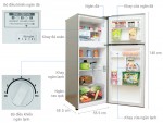 Kinh nghiệm bảo quản rau củ tươi lâu trong tủ lạnh