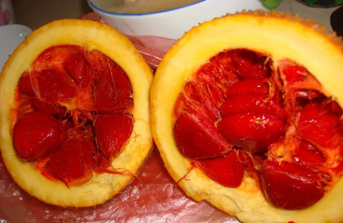 Cách nấu xôi gấc ngon, đỏ tưng bừng cho ngày Tết