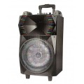 Loa kéo  ADS OWL-T12B