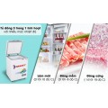 Tủ đông Sanaky 100 lít VH-1599HYK