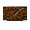 Smart Tivi OLED LG 4K 77 Inch OLED77CXPTA ThinQ AI
