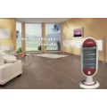 Máy sưởi phòng cao cấp HAZEN HZ1001D