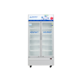 Tủ mát Hòa Phát Inverter 723 lít HSR D8723