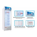 Tủ mát Darling DL-2800A 280 lít