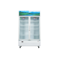 Tủ mát Sanaky 1100 lít VH-1209HP
