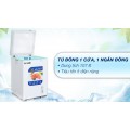 Tủ đông Hòa Phát 107 lít HPF AN6107