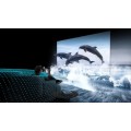 Google Tivi QLED TCL 4K 65 inch 65C69B