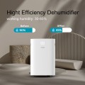Máy hút ẩm Steiger STG - 820DW 20 lít