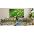 Google Tivi Coocaa Full HD 40 inch 40Z73
