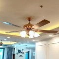 Quạt trần KAIYOKUKAN TOKY 5025