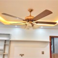 Quạt trần KAIYOKUKAN TOKY 5025