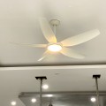 Quạt trần KAIYOKUKAN HIRO 219 WH