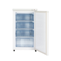 Tủ đông đứng Hòa Phát HPF UAH6106 106 lít