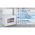 Tủ đông Hòa Phát 252 lít HPF AN6252