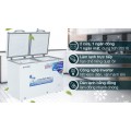 Tủ đông Alaska Inverter 282 lít BCD 4568CI