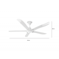 Quạt trần Rapido RCF 5W – White (5 cánh)