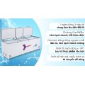 Tủ đông Sanaky 900 lít VH-1199HY