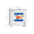 Tủ đông Hòa Phát HPF AN6162 162 lít