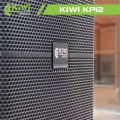 Loa FULL KIWI KP12 (BASS 30)