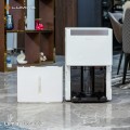 Máy hút ẩm kiêm lọc không khí 30L Lumias D6S-30L