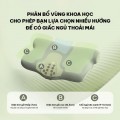 Gối Massage Cổ SKG P5