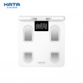 Cân sức khỏe điện tử KATA CS10E