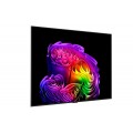 Smart Tivi LG OLED Evo AI 4K 77 inch OLED77G6PSA