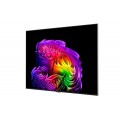 Smart Tivi LG OLED Evo AI 4K 77 inch OLED77G6PSA