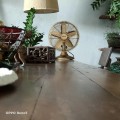 Quạt bàn Memory Gold Mr.Vu 35W