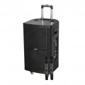 Loa kéo KIWI KT312 Bass 30cm công suất 180W 2 micro