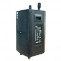 Loa kéo KIWI KT312 Bass 30cm công suất 180W 2 micro