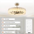 Quạt đèn PAVO Mr.Vũ BLDC 30W LED 30W