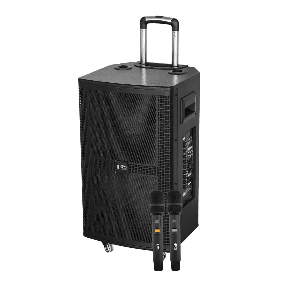 Loa kéo KIWI KT312 Bass 30cm công suất 180W 2 micro