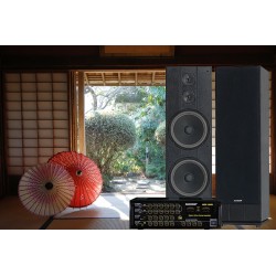 AMPLI NIKOCHI NKC- 300L