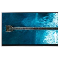 Smart Tivi OLED LG 55 inch 55E9PTA